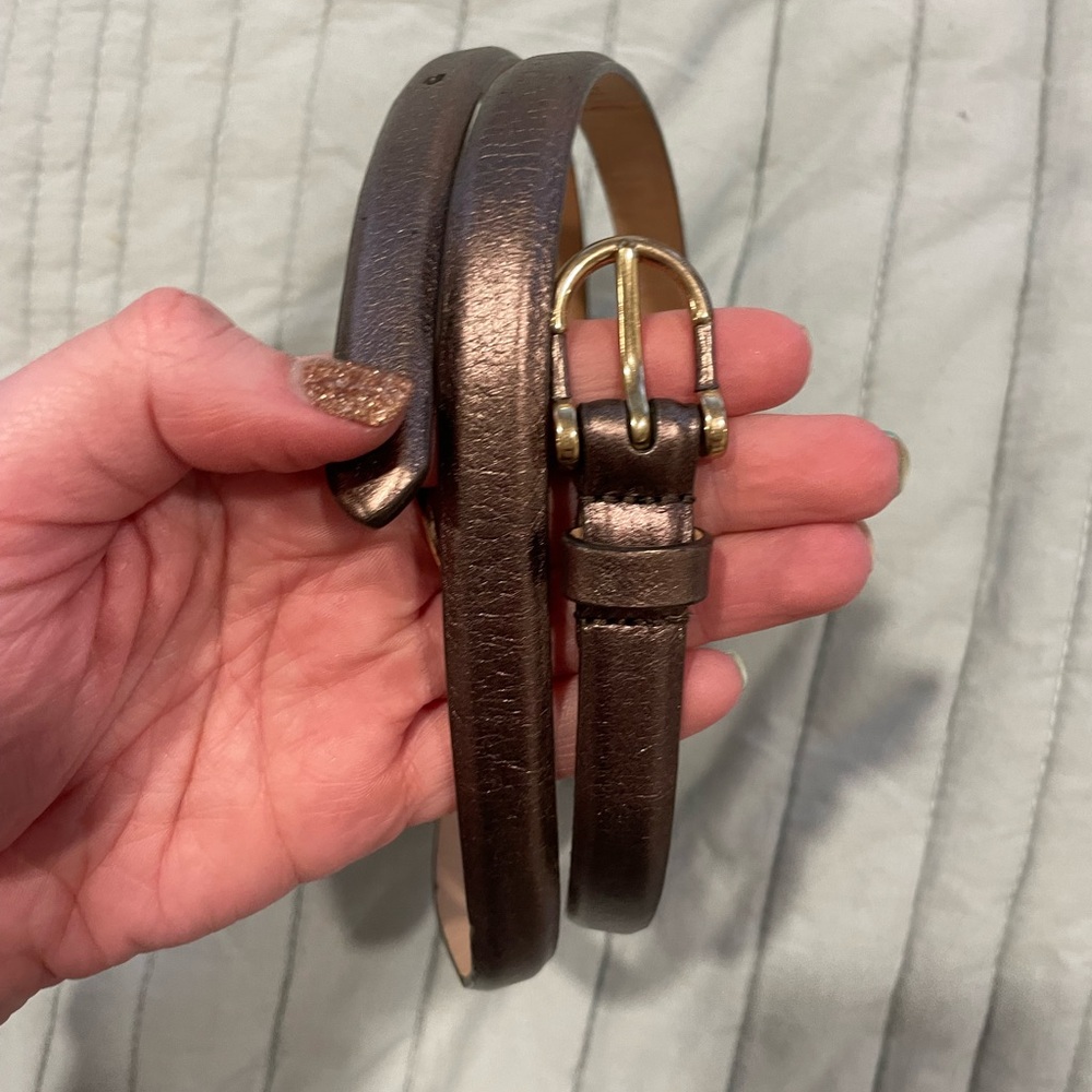 J.Crew Small Shiny Belt - Perfect Accen